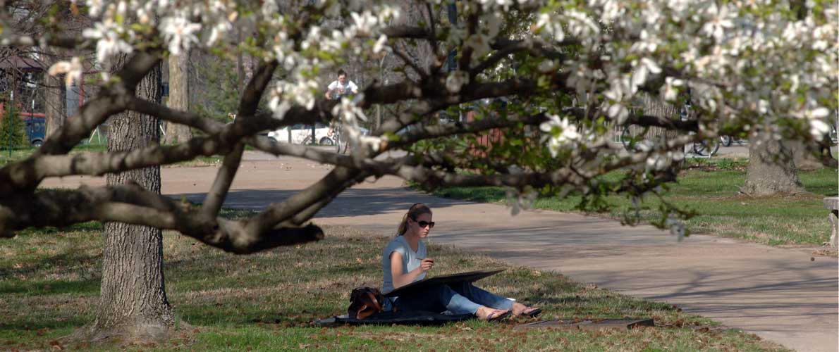 SIU student under a tree