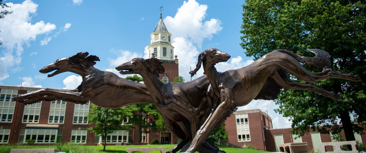 SIU Saluki Dawg Statue